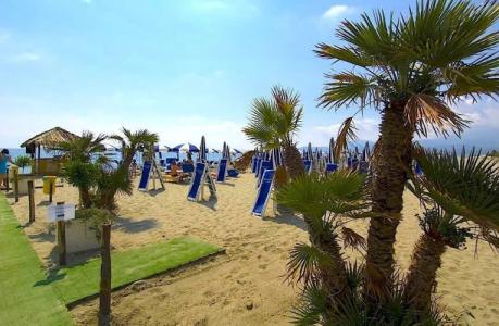 Camping Le Palme - 36