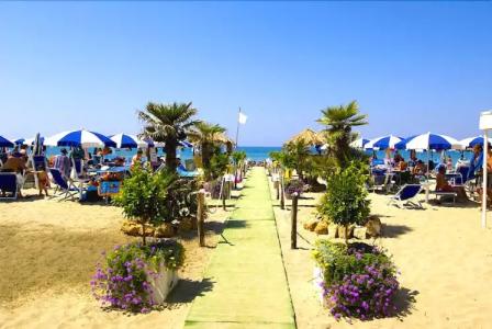 Camping Le Palme - 18