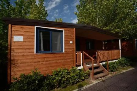 Camping Le Palme - 49