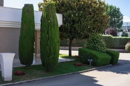 Citta' Dei Papi - 12