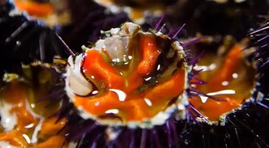 Trulli Resort Monte Pasubio Trulli Bbalberobellocom - 70