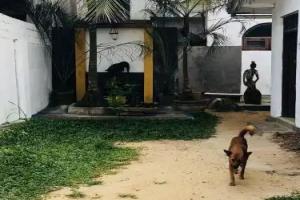 Catamaran Beach Hotel, Hikkaduwa