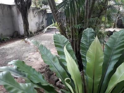 Hikkaduwa Sea Front - 33