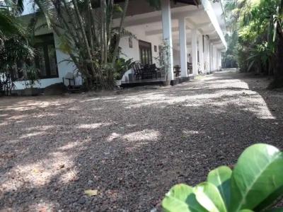 Hikkaduwa Sea Front - 20