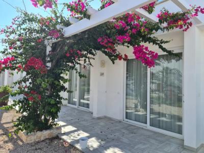 Club Poseidone Beach Resort - 15