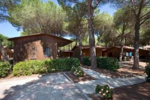 Camping Village Voltoncino, Albinia