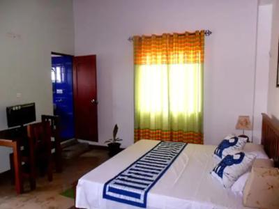 Blue Elephant Tourist Guest House - 3