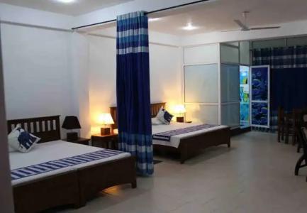 Blue Elephant Tourist Guest House - 1