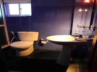 Blue Elephant Tourist Guest House - 7