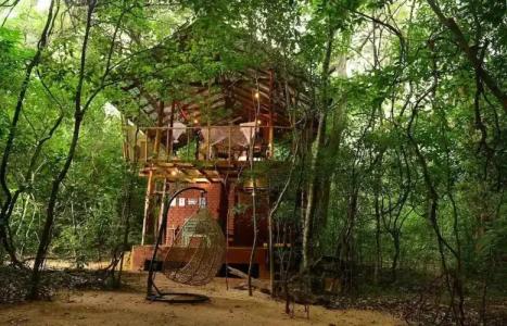 Back of Beyond - Pidurangala - 63