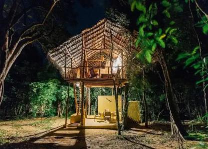 Back of Beyond - Pidurangala - 51