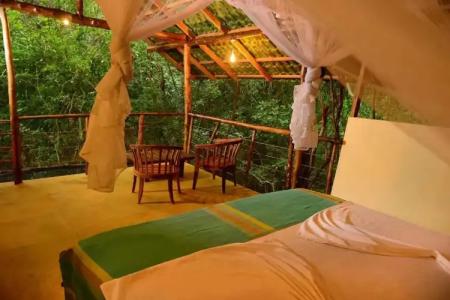 Back of Beyond - Pidurangala - 75