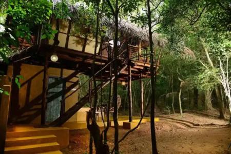 Back of Beyond - Pidurangala - 112