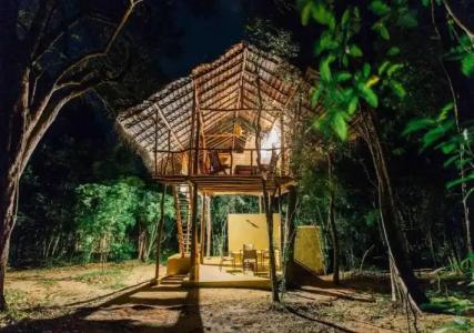 Back of Beyond - Pidurangala - 86