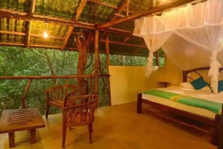 Back of Beyond - Pidurangala - 78