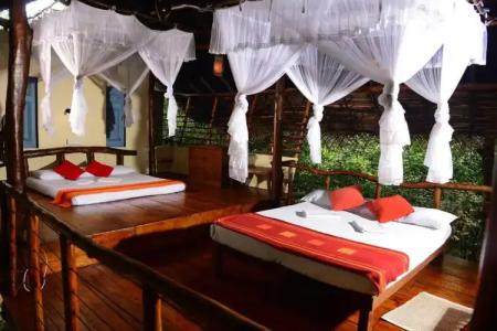 Back of Beyond - Pidurangala - 98