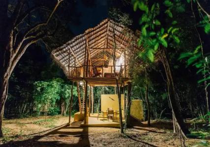 Back of Beyond - Pidurangala - 50