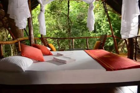 Back of Beyond - Pidurangala - 104