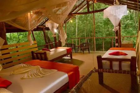 Back of Beyond - Pidurangala - 96