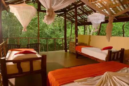 Back of Beyond - Pidurangala - 94