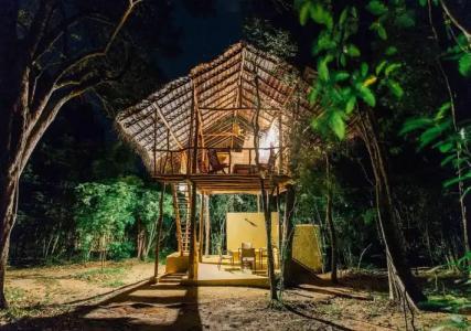 Back of Beyond - Pidurangala - 66