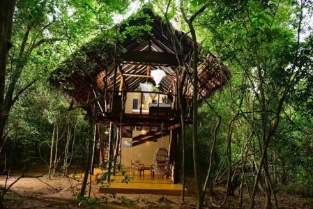 Back of Beyond - Pidurangala - 65