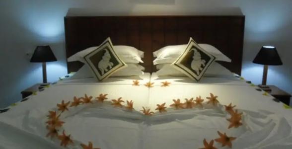 Camellia Resort and Spa -Sigiriya - 35