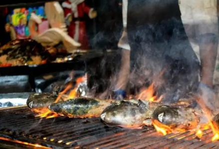 Camellia Resort and Spa -Sigiriya - 43