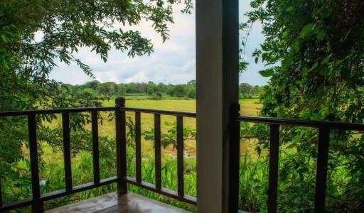 Camellia Resort and Spa -Sigiriya - 76