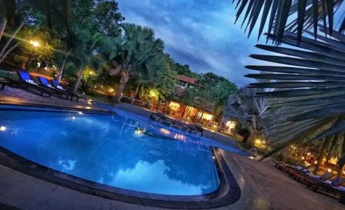 Saunter Paradise - 8