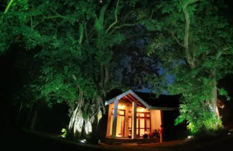 Saunter Paradise - 10