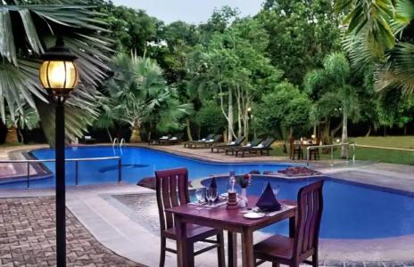 Saunter Paradise - 7