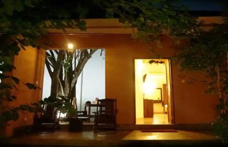 Saunter Paradise - 12