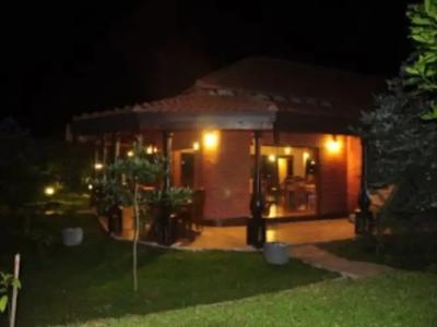 Saunter Paradise - 9