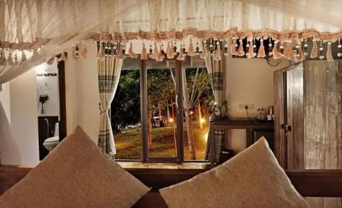 Saunter Paradise - 1