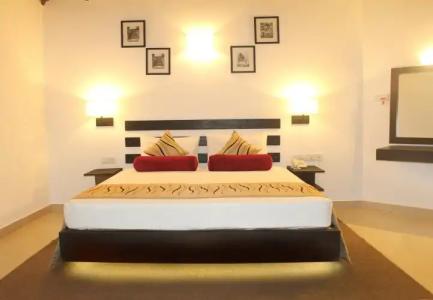 Saunter Paradise - 0