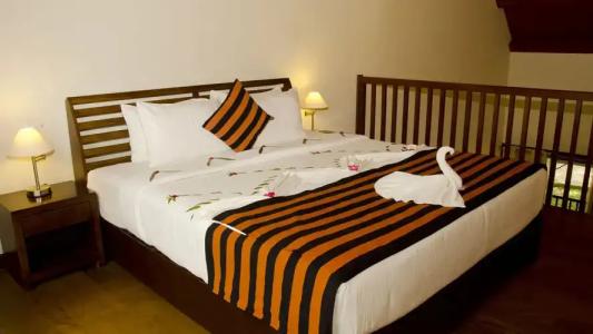 Occidental Paradise - 5