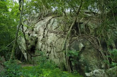 Occidental Paradise - 19