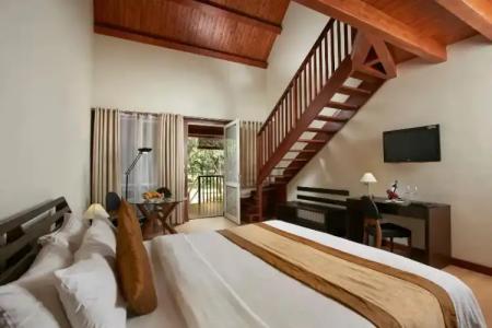 Occidental Paradise - 36