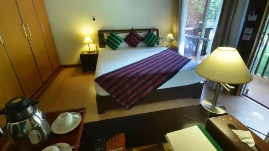 Occidental Paradise - 4