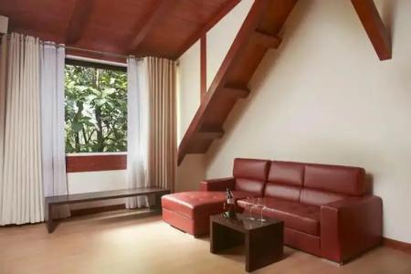 Occidental Paradise - 33