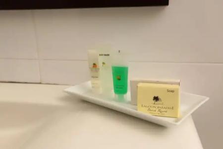 Lagoon Paradise Beach Resort - 58