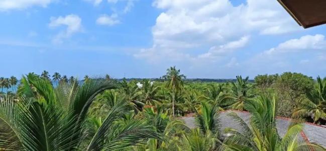 Lagoon Paradise Beach Resort - 83