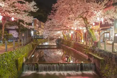 Mikuniya - 0