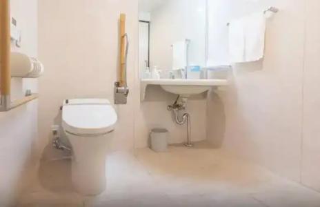 Toyoko Inn Hokkaido Sapporo Susukino Junction - 54