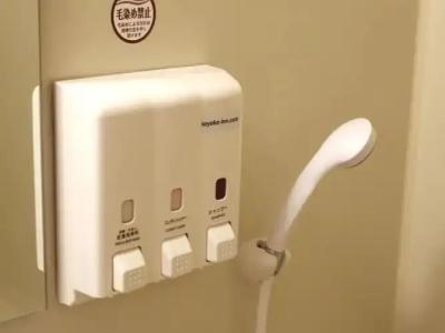 Toyoko Inn Hokkaido Sapporo-Eki Minami-Guchi - 99