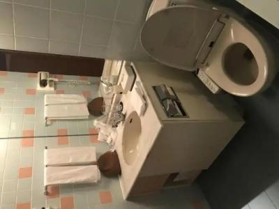 Forest Spa Resort Hokkaido - 35