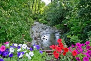 White Horse Complex Hotel, Targovishte