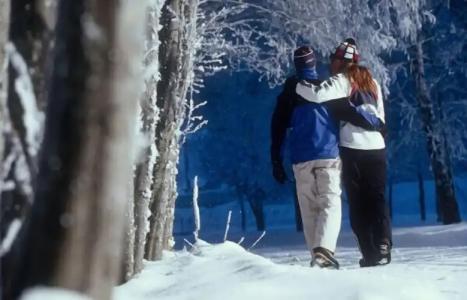 PETE - Alpine Boutique - 27