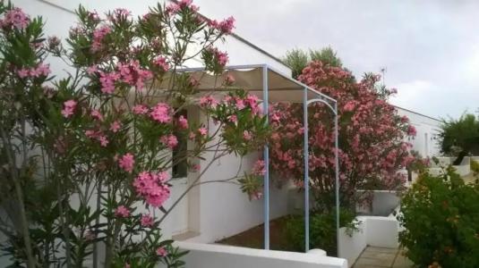 Tenuta de Marco - 39